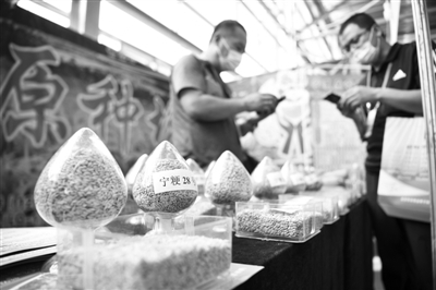 全國人大常委會分組審議種子法修正草案——  強化知識產(chǎn)權保護 打好“種業(yè)翻身仗”