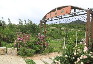 煙臺農(nóng)禪谷生態(tài)農(nóng)業(yè)發(fā)展有限公司