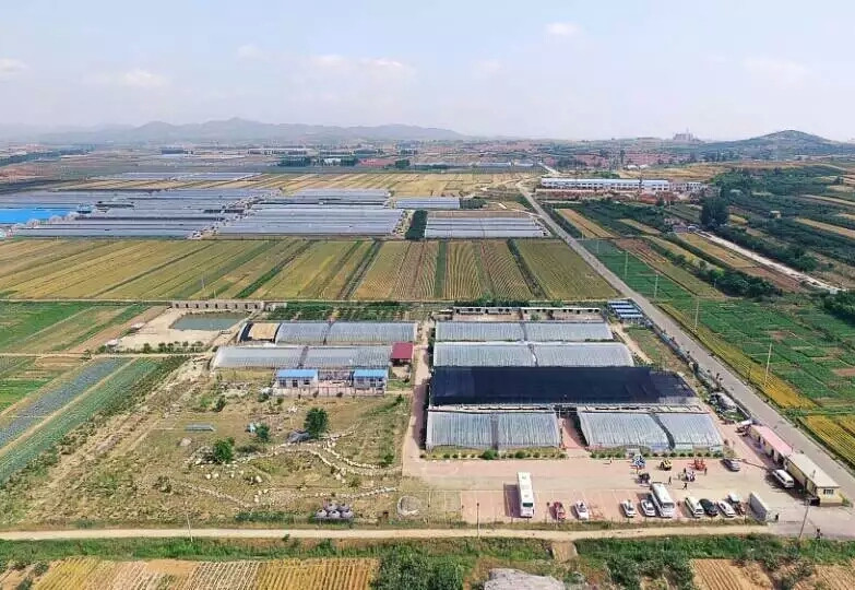 煙臺市高陵生態(tài)果蔬產(chǎn)業(yè)有限公司科普教育基地