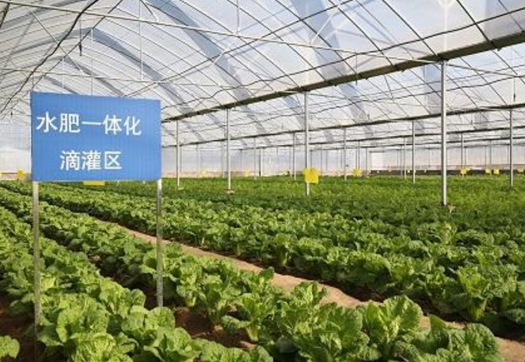 海陽市浩森果蔬種植專業(yè)合作社