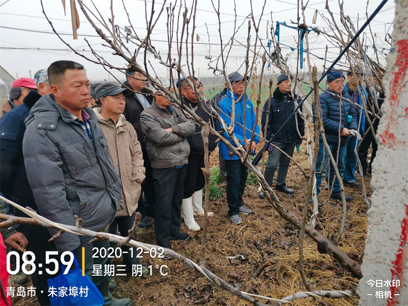科普活動 (7).jpg