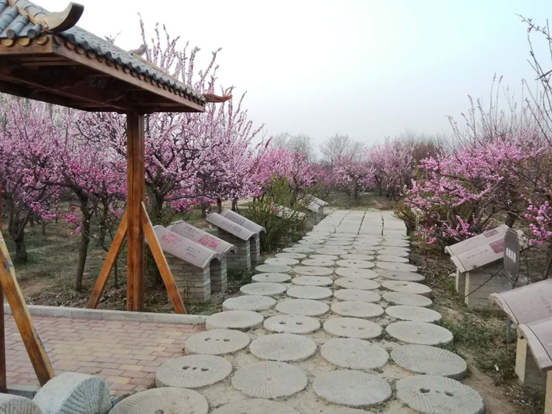 梅印步道.jpg