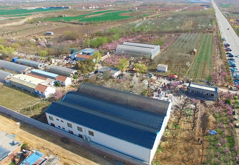 宏順梅花科普教育基地